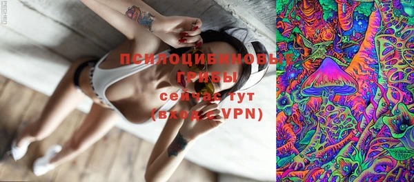 spice Беломорск