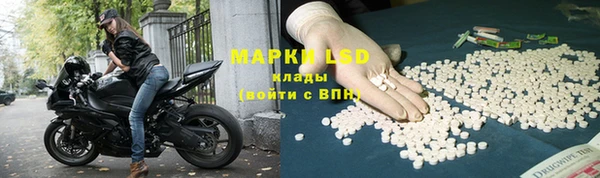 каннабис Белокуриха